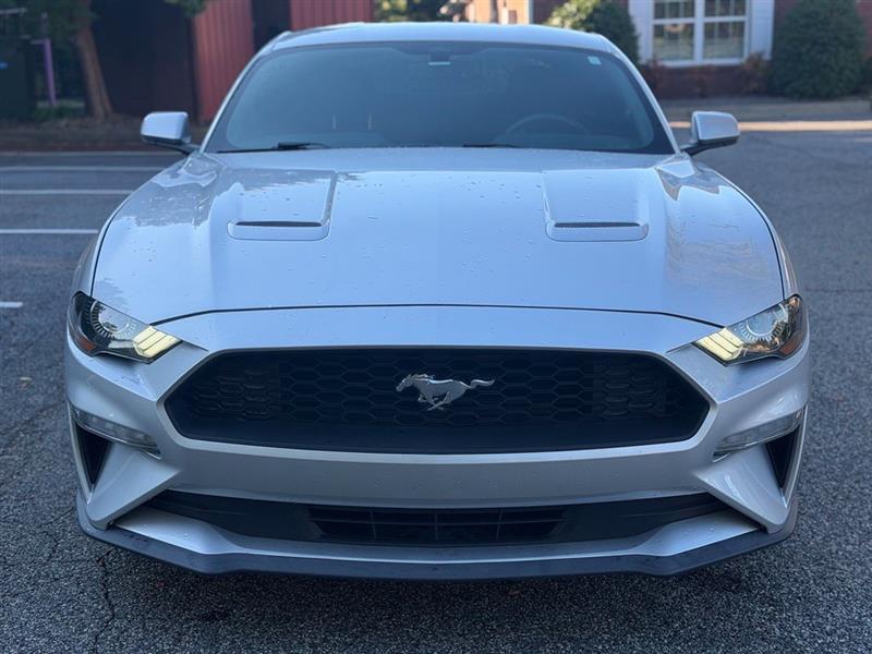 Ford Mustang EcoBoost Fastback 2019