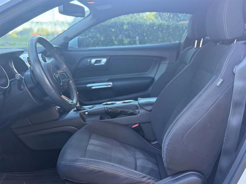 Ford Mustang EcoBoost Fastback 2019