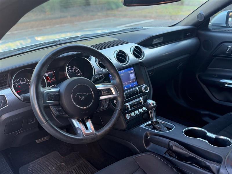 Ford Mustang EcoBoost Fastback 2019