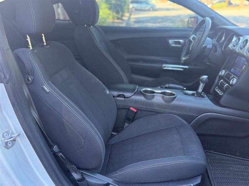 Ford Mustang EcoBoost Fastback 2019