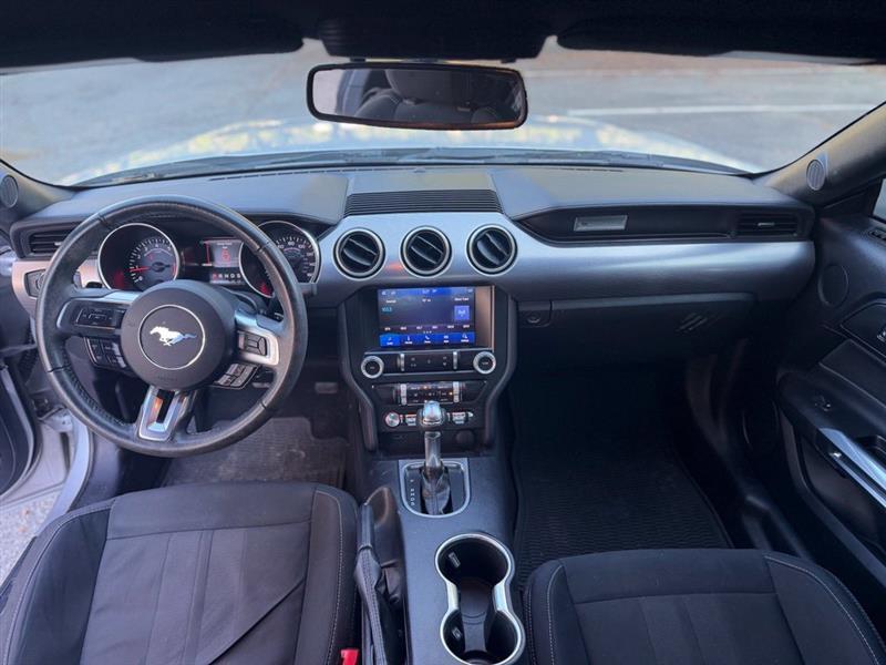Ford Mustang EcoBoost Fastback 2019