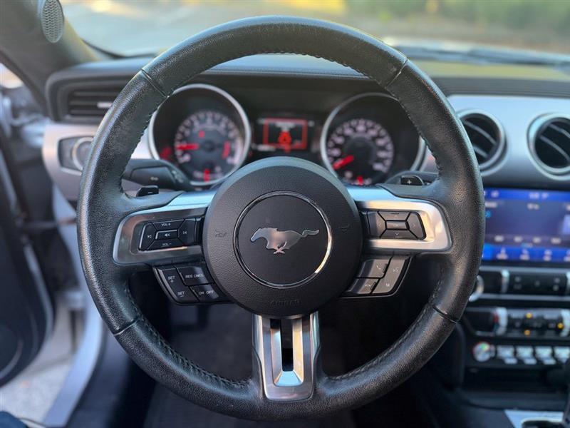 Ford Mustang EcoBoost Fastback 2019