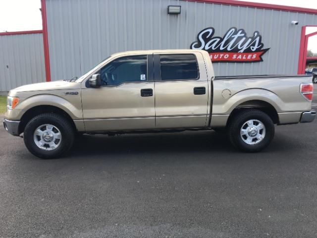 Ford F-150 XLT SuperCrew 5.5-ft. Bed 2WD 2013