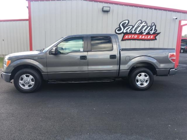 Ford F-150 XLT SuperCrew 5.5-ft. Bed 2WD 2010
