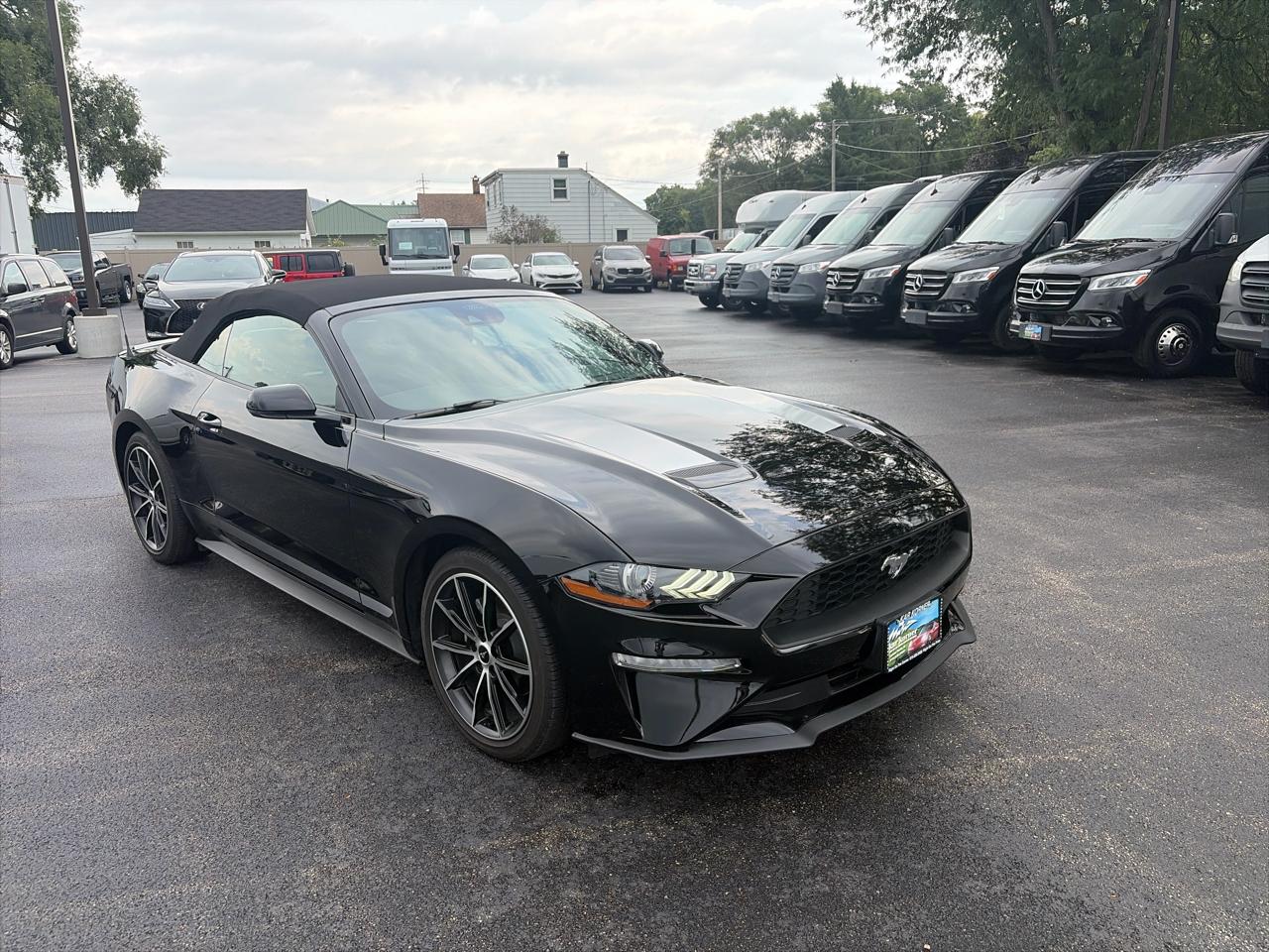 Ford Mustang EcoBoost Convertible 2022