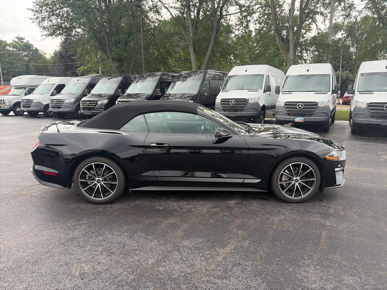 Ford Mustang EcoBoost Convertible 2022
