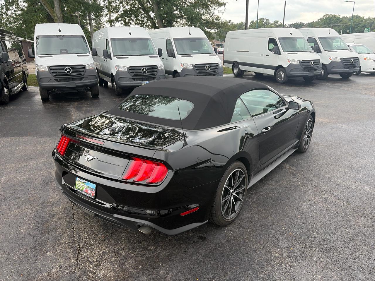 Ford Mustang EcoBoost Convertible 2022