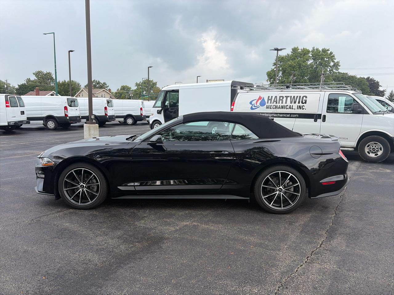 Ford Mustang EcoBoost Convertible 2022