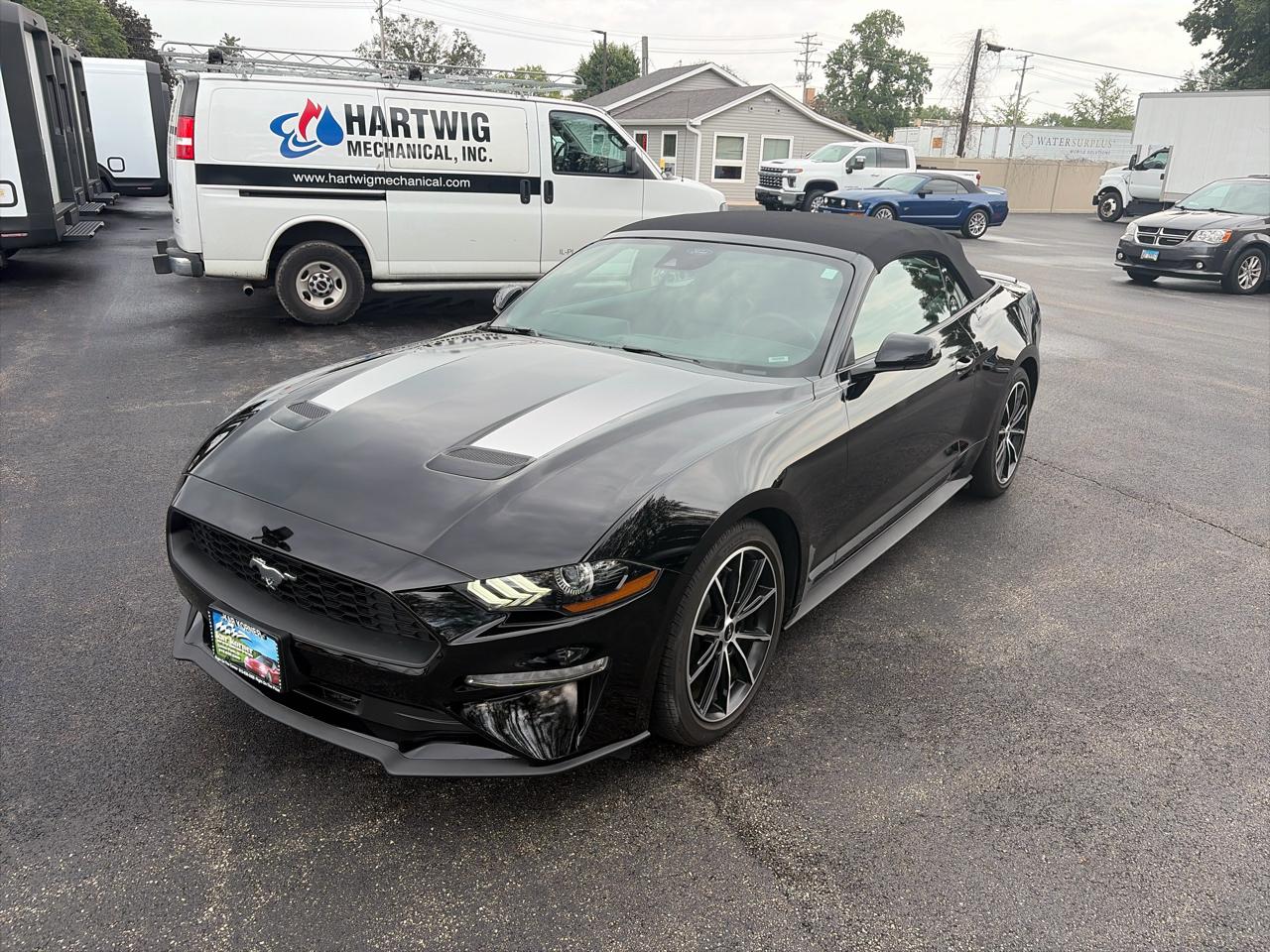 Ford Mustang EcoBoost Convertible 2022