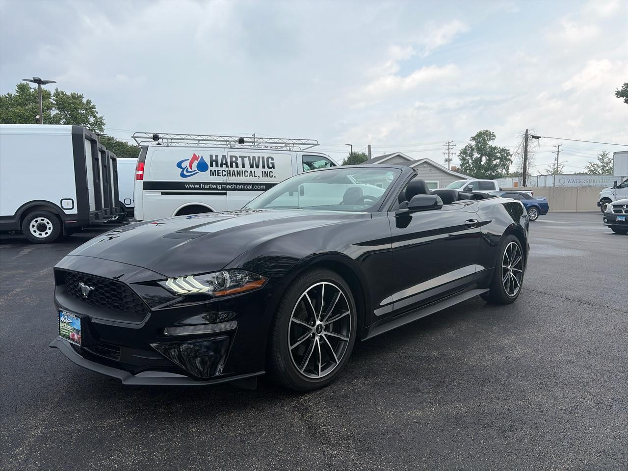 Ford Mustang EcoBoost Convertible 2022
