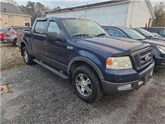 2005 Ford F-150 