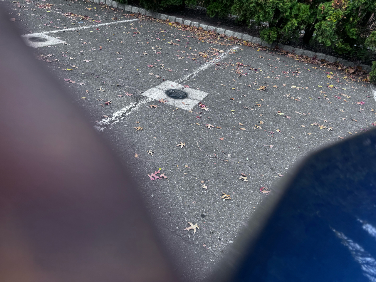 Ford F-150 4WD SuperCrew 139" XLT 2020