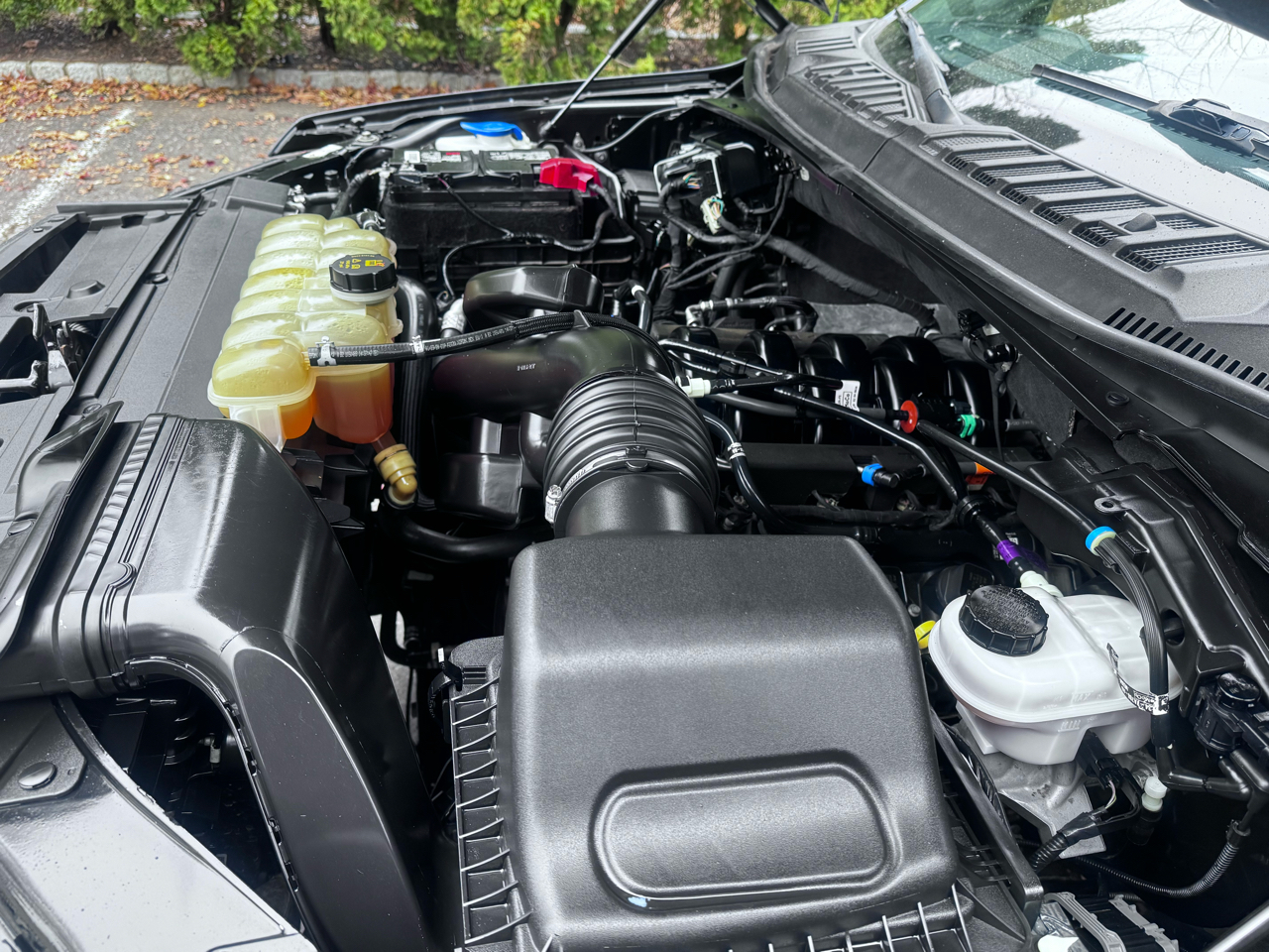 Ford F-150 4WD SuperCrew 139" XLT 2020