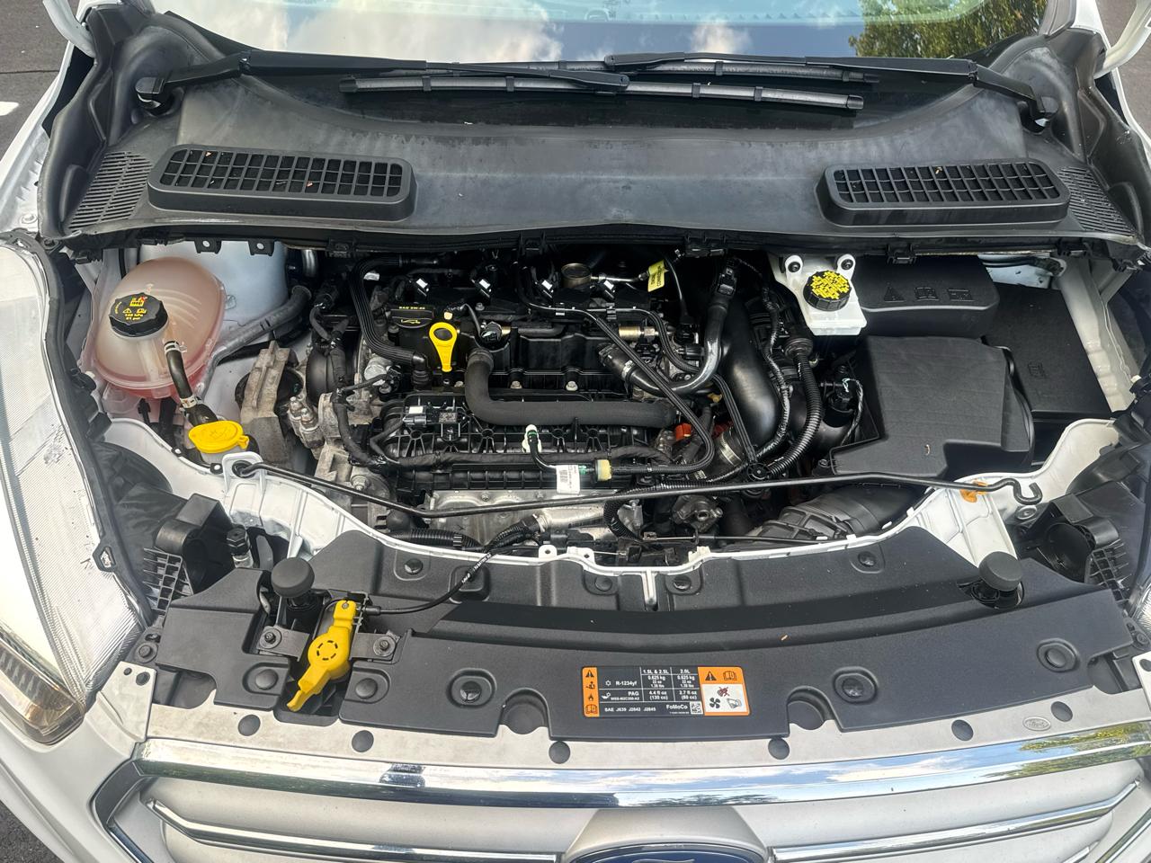 Ford Escape SE 4WD 2019