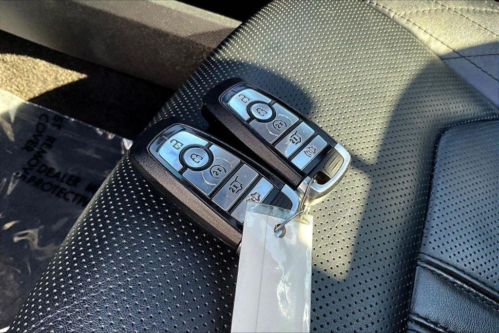 Ford Expedition Platinum 4x4 2020
