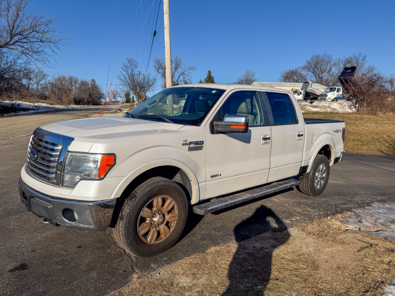 Ford F-150 AWD SuperCrew 145" Harley-Davidson 2010