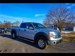 2010 Ford F-150 