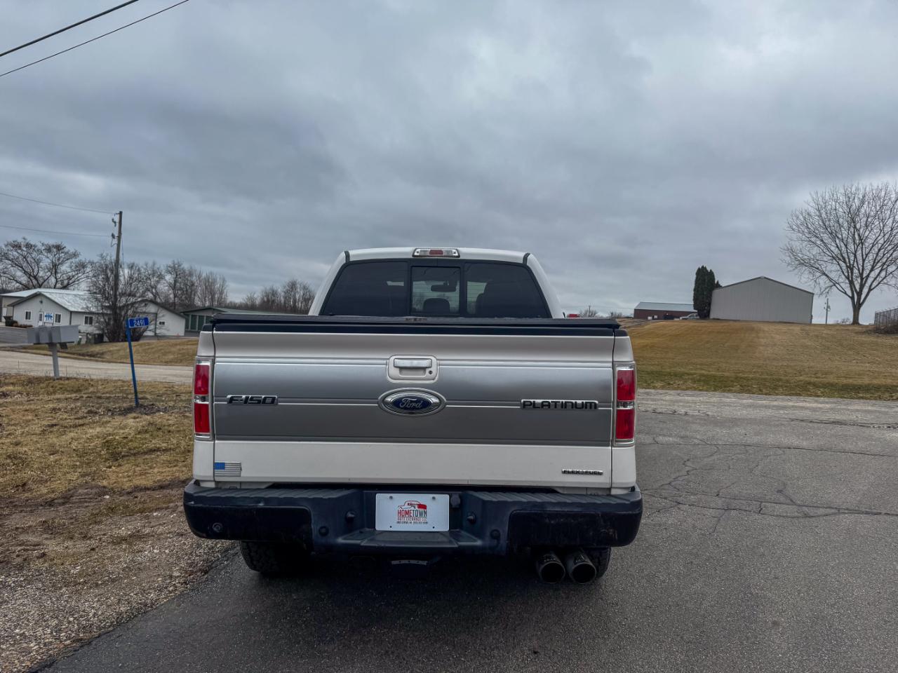 Ford F-150 4WD SuperCrew 145" Platinum 2014