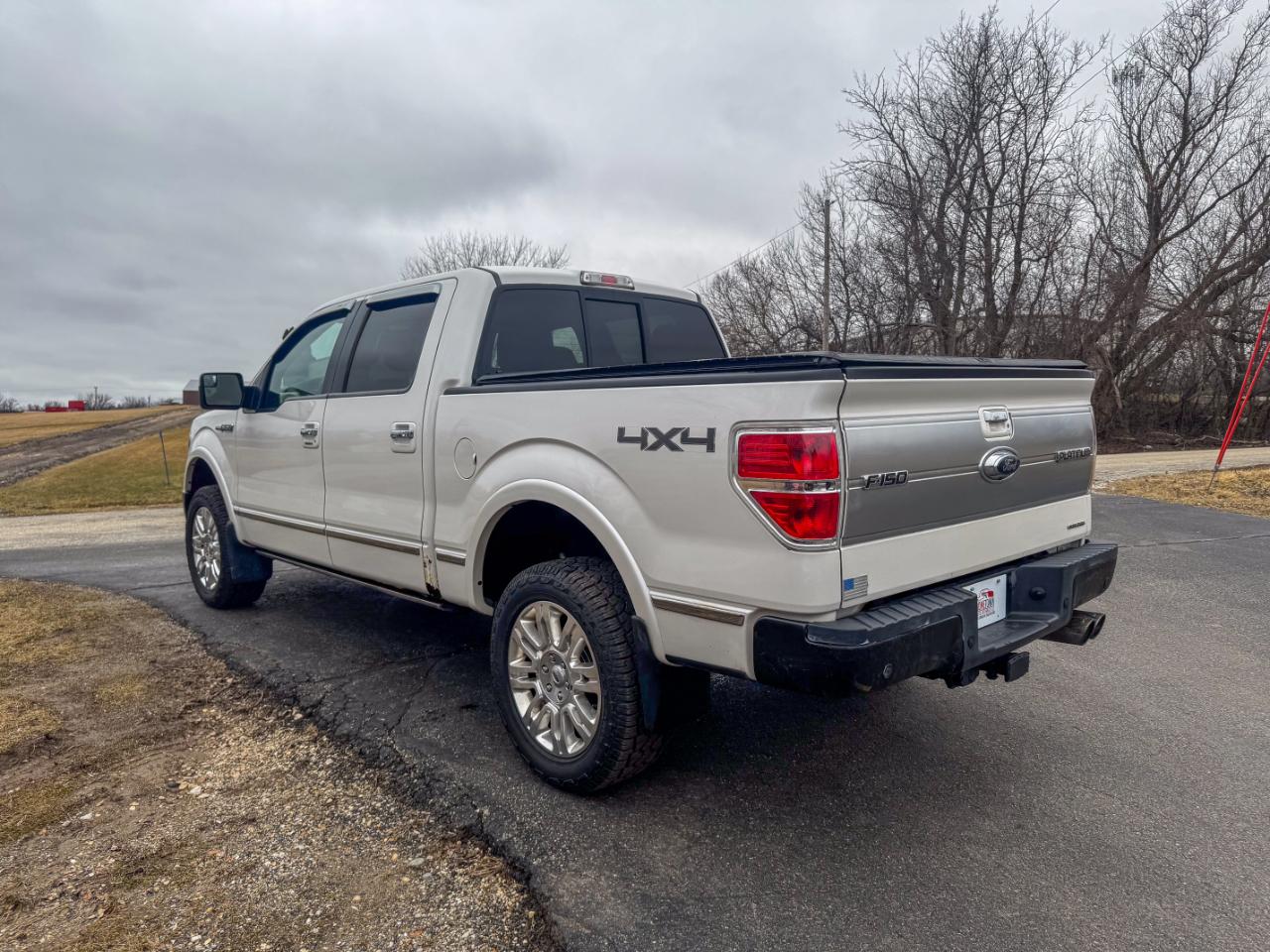 Ford F-150 4WD SuperCrew 145" Platinum 2014