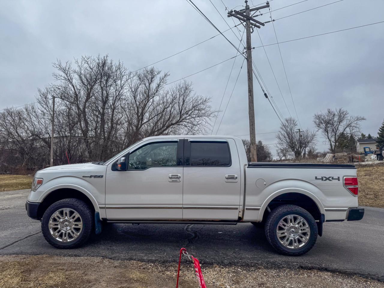 Ford F-150 4WD SuperCrew 145" Platinum 2014