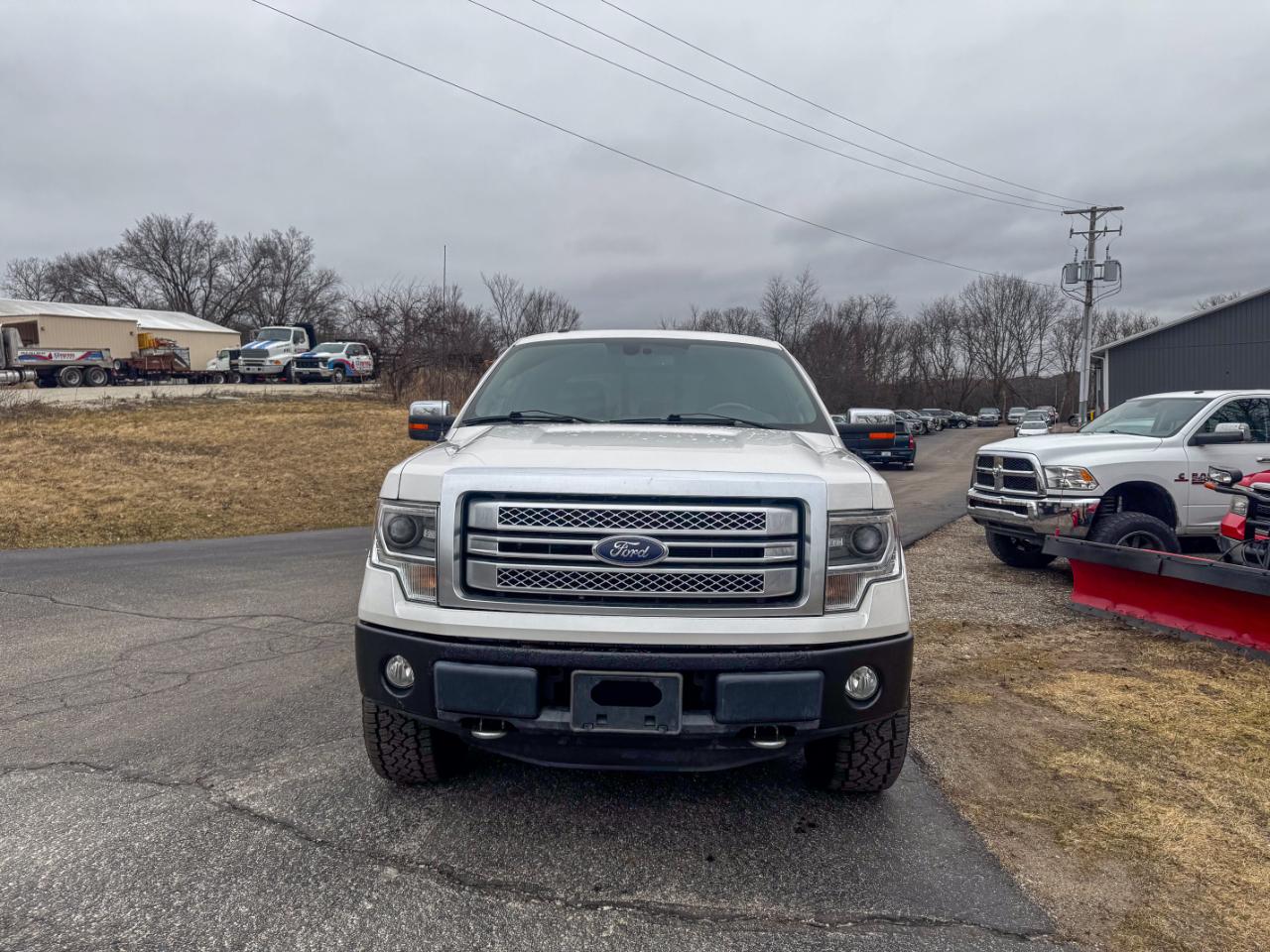 Ford F-150 4WD SuperCrew 145" Platinum 2014