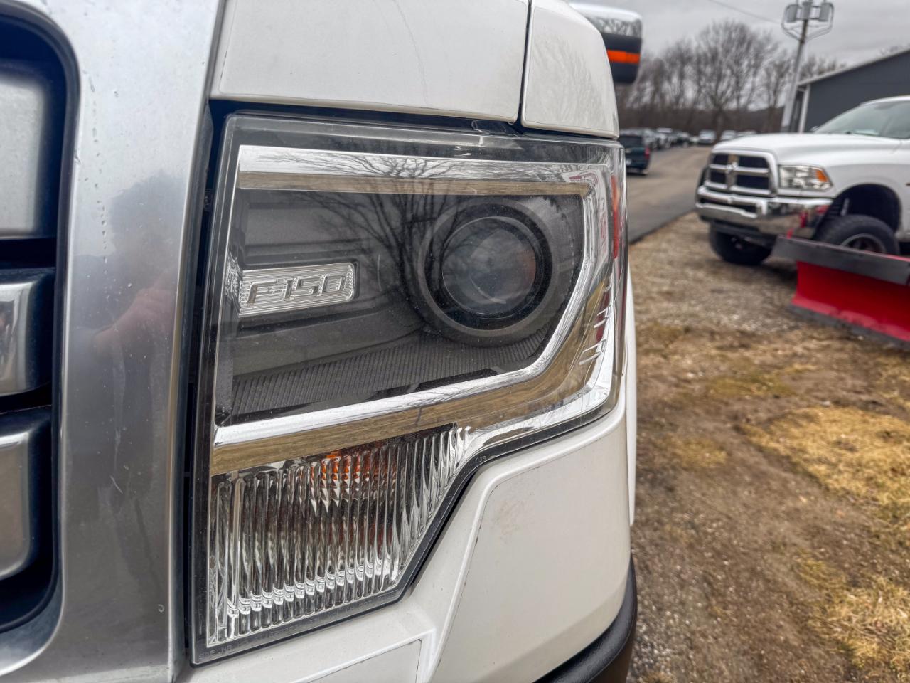 Ford F-150 4WD SuperCrew 145" Platinum 2014