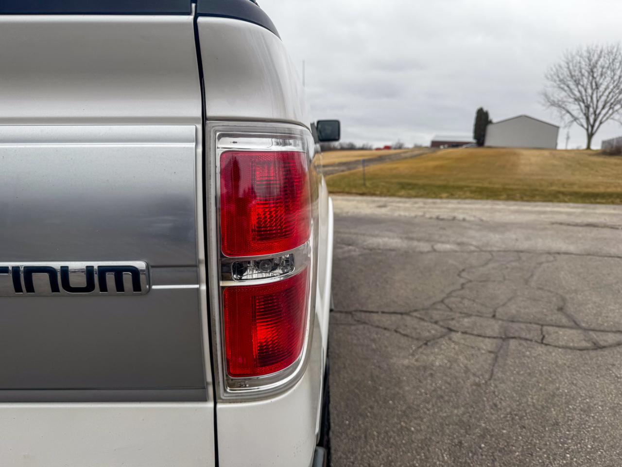 Ford F-150 4WD SuperCrew 145" Platinum 2014