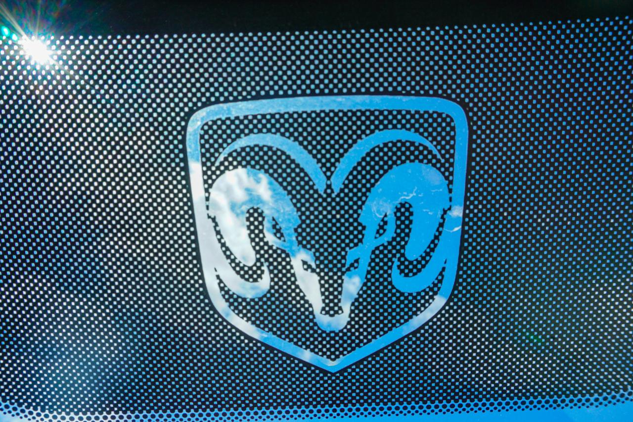 Dodge Ram 1500 4WD Reg Cab 140.5" ST 2010