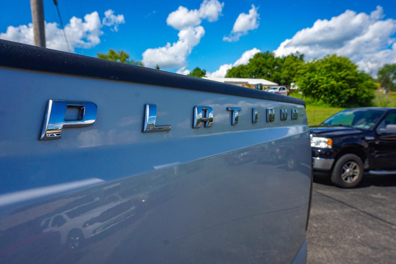 Ford Super Duty F-250 SRW 4WD Crew Cab 172" Platinum 2015