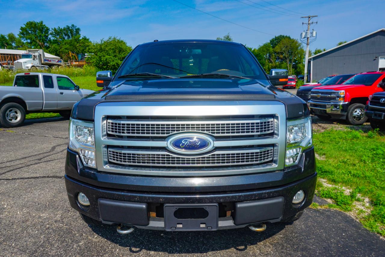 Ford F-150 AWD SuperCrew 145" Harley-Davidson 2010