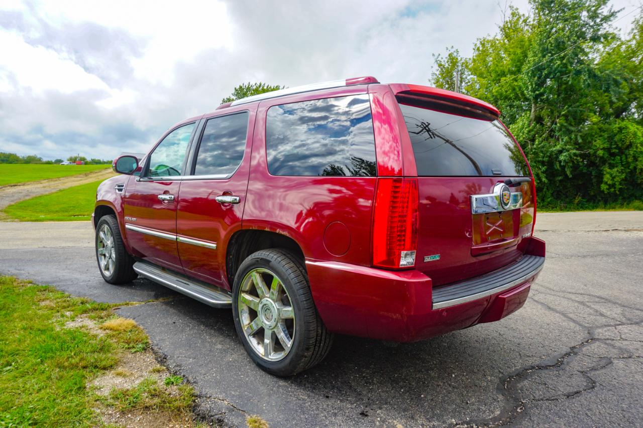 Cadillac Escalade AWD 4dr Luxury 2010