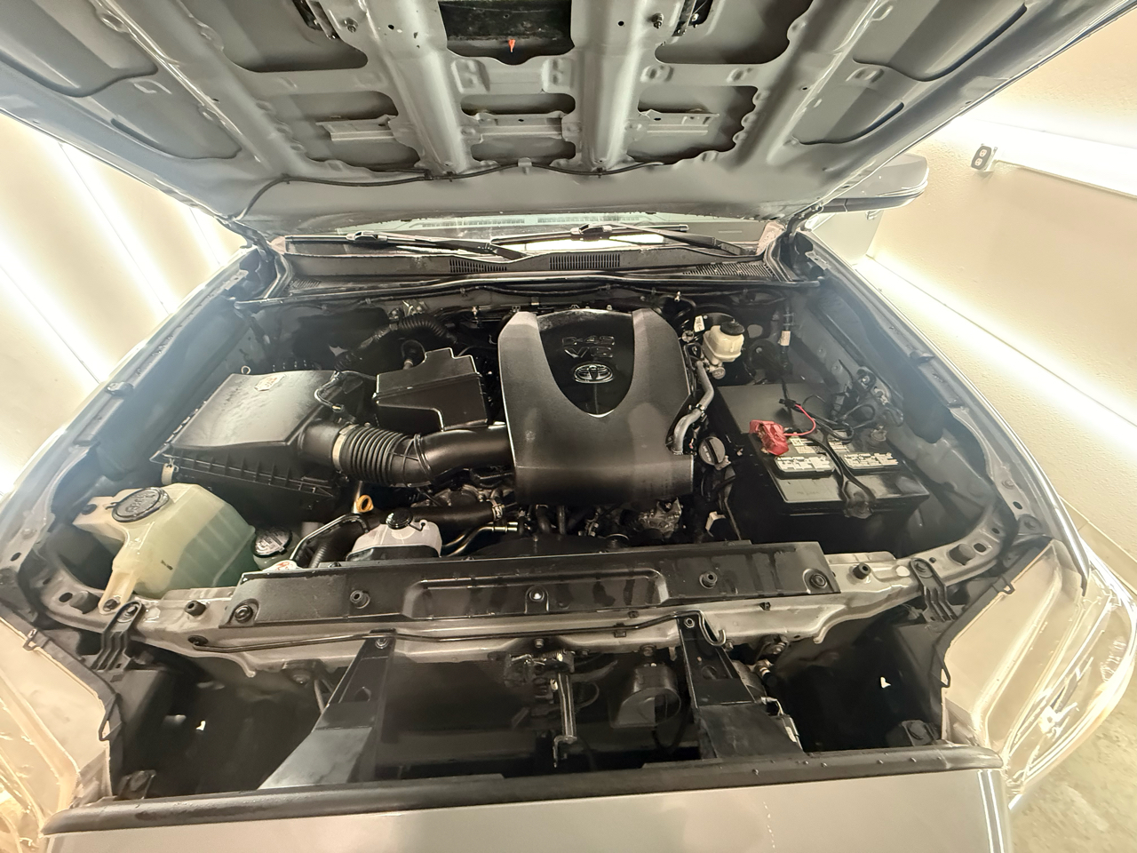 Toyota Tacoma 2WD Double Cab V6 AT TRD Sport (Natl) 2021