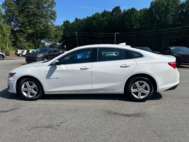 Chevrolet Malibu 1LT 2024
