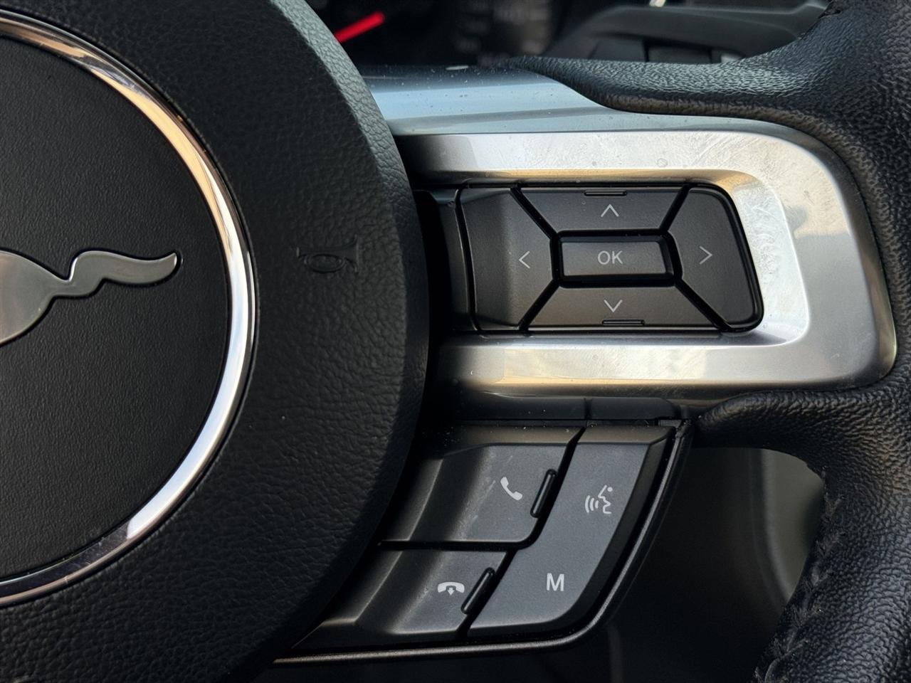 Ford Mustang EcoBoost Fastback 2022