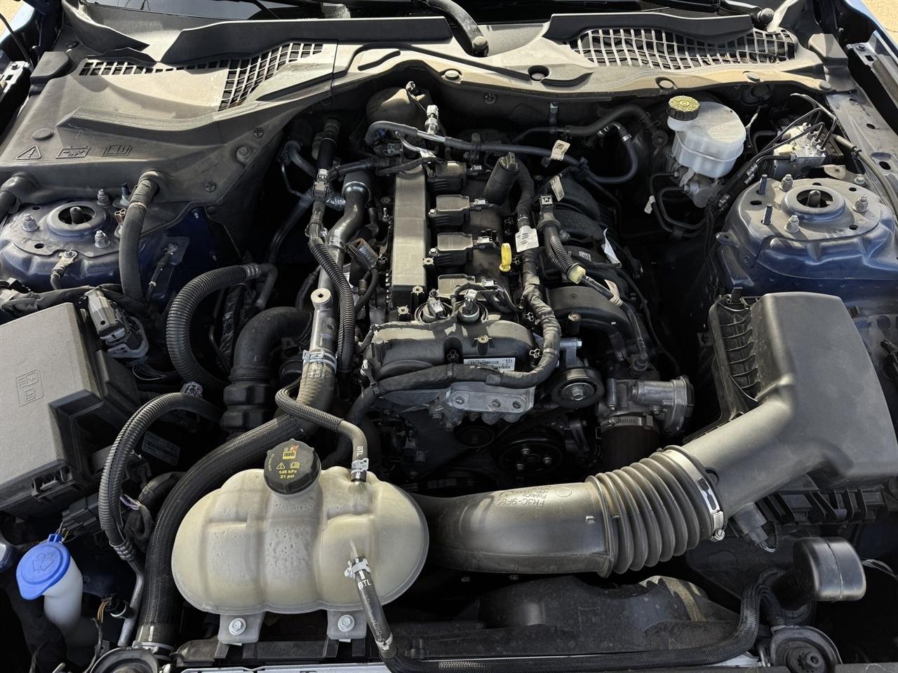 Ford Mustang EcoBoost Fastback 2022