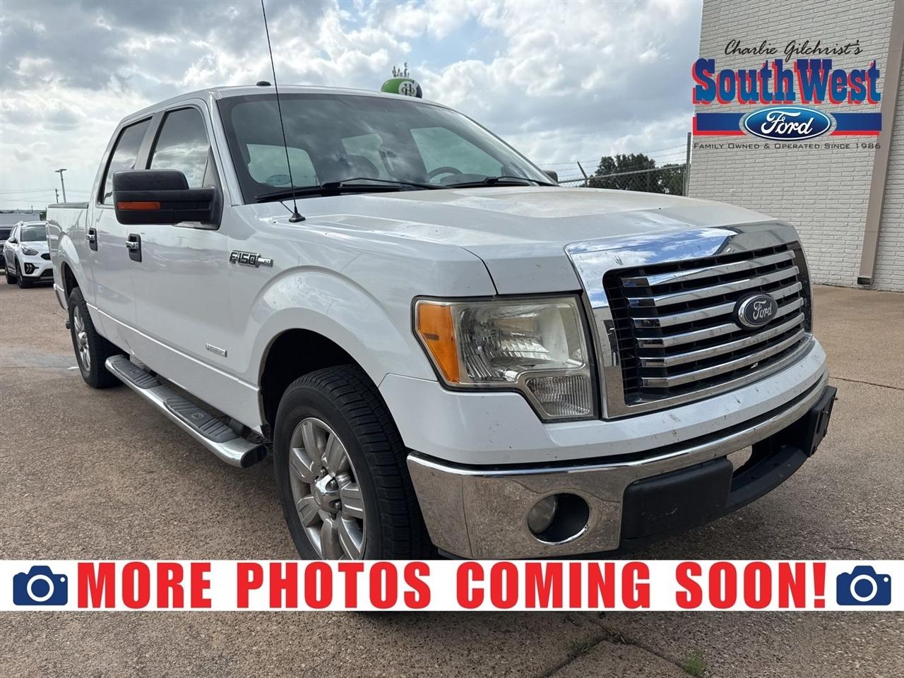 Ford F-150 2WD SuperCrew 145" Platinum 2011