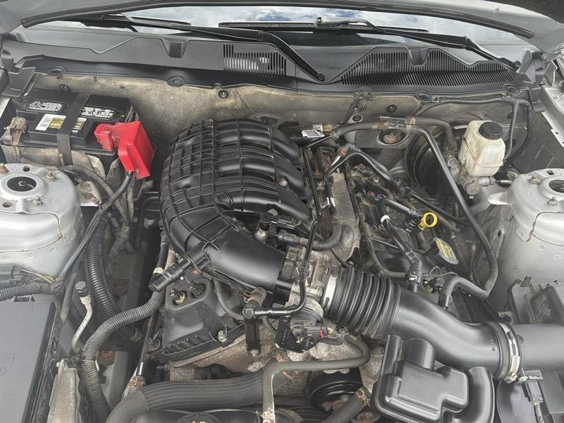Ford Mustang V6 Coupe 2013