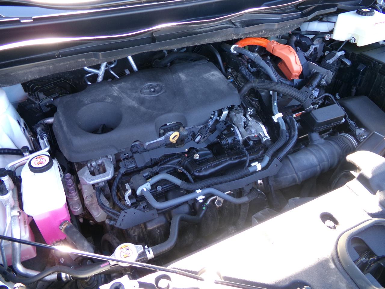 Toyota Sienna LE AWD 8-Passenger (Natl) 2021