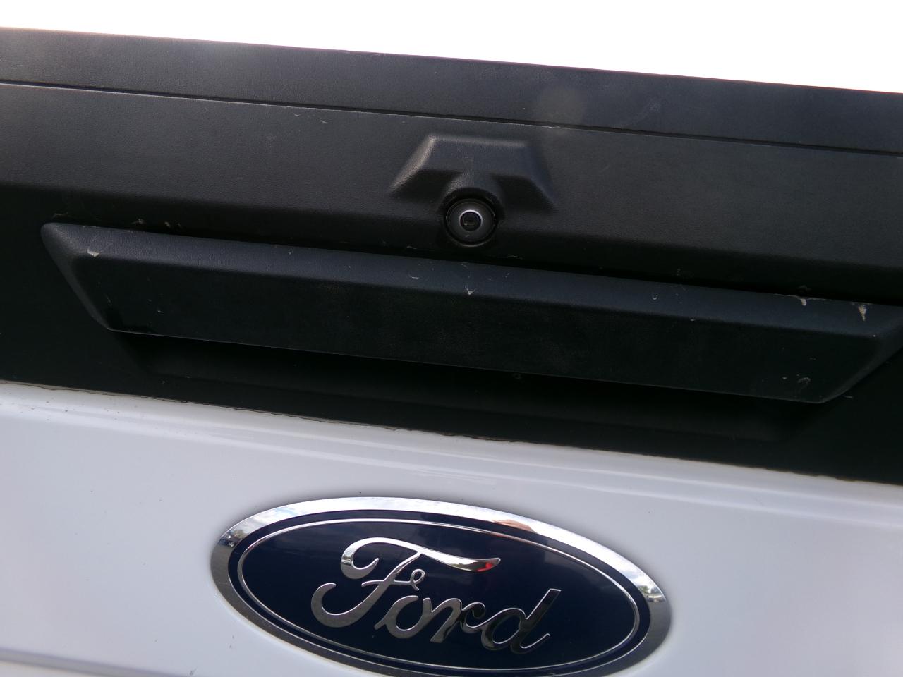 Ford Super Duty F-250 SRW XL 4WD Crew Cab 8' Box 2022