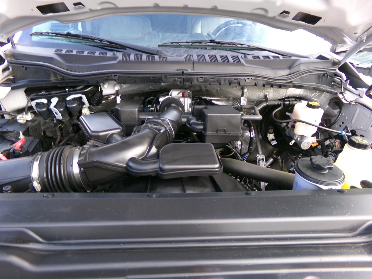 Ford Super Duty F-250 SRW XL 4WD Crew Cab 8' Box 2022