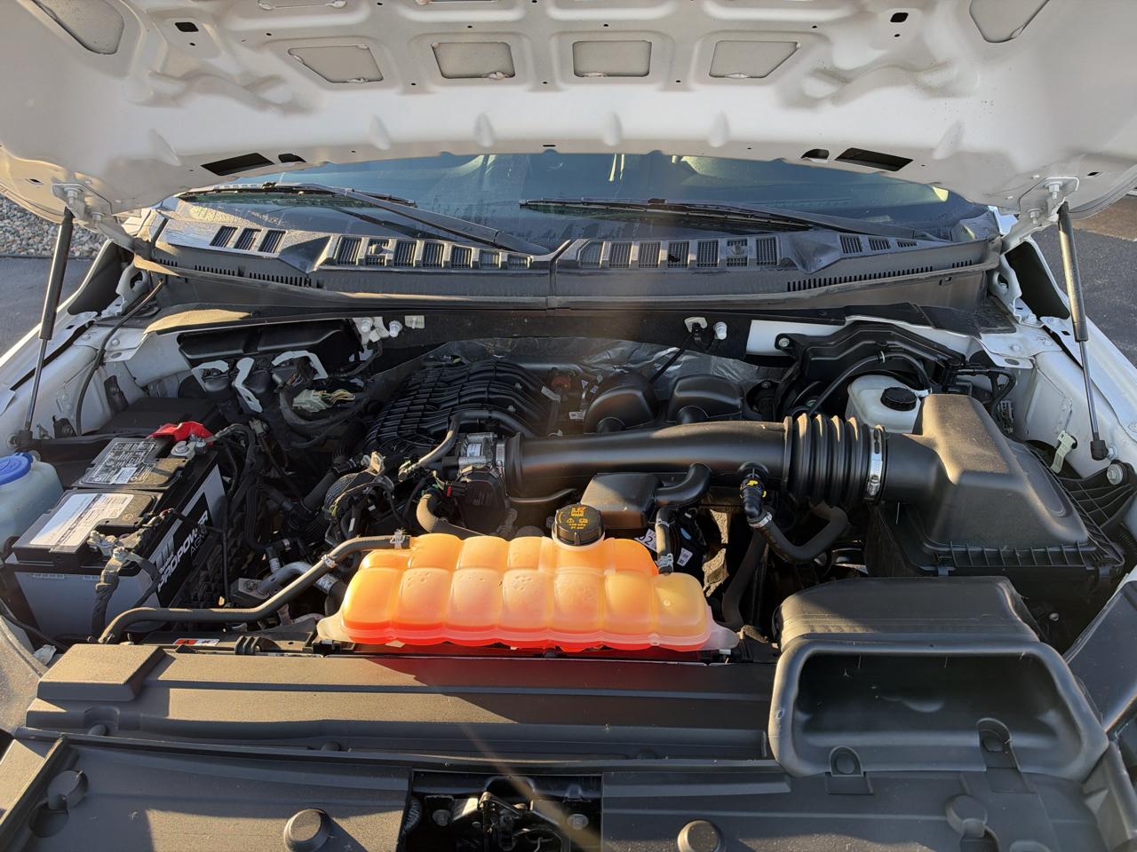 Ford F-150 XL 4WD Reg Cab 6.5' Box 2018