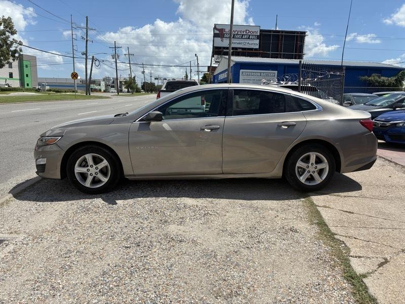 Chevrolet Malibu 1LT 2023