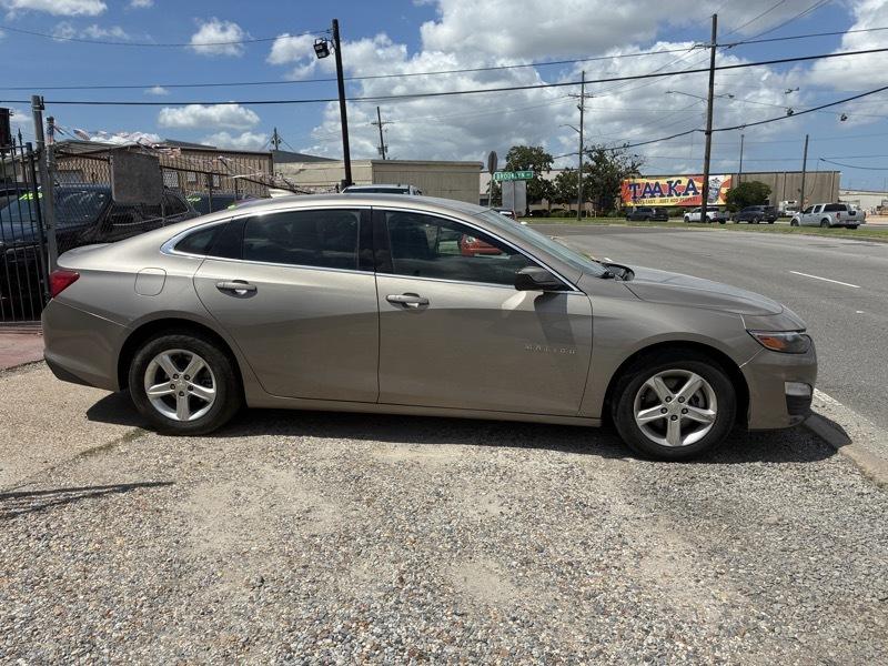 Chevrolet Malibu 1LT 2023