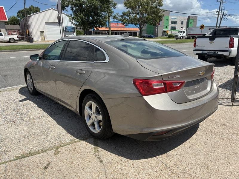 Chevrolet Malibu 1LT 2023