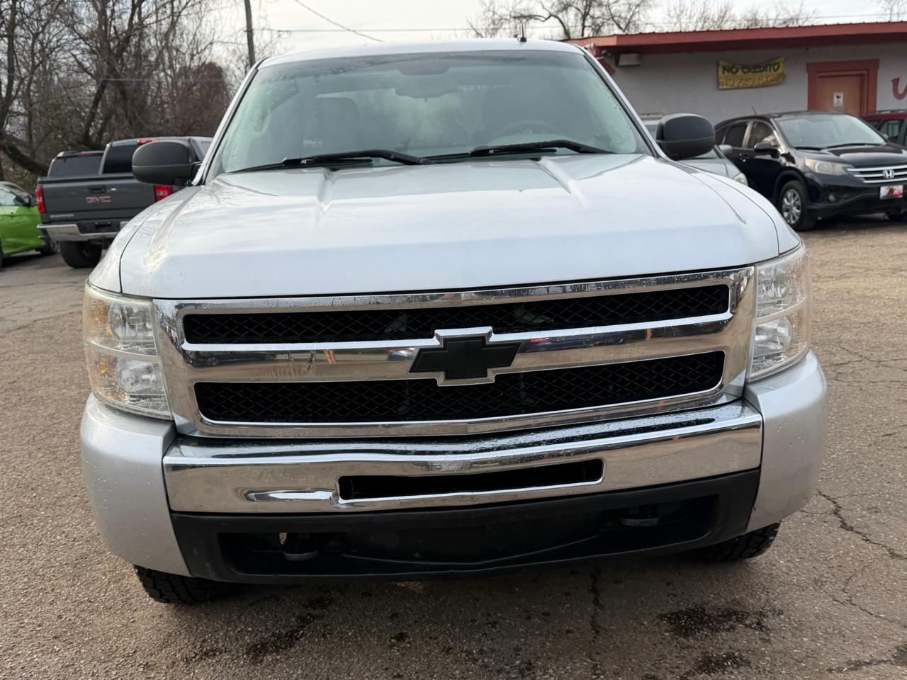 Chevrolet Silverado 1500 LS Crew Cab 4WD 2010