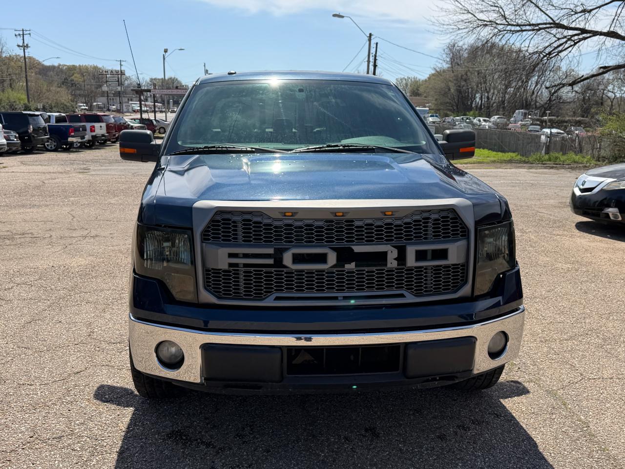 Ford F-150 2WD SuperCrew 145" Platinum 2014