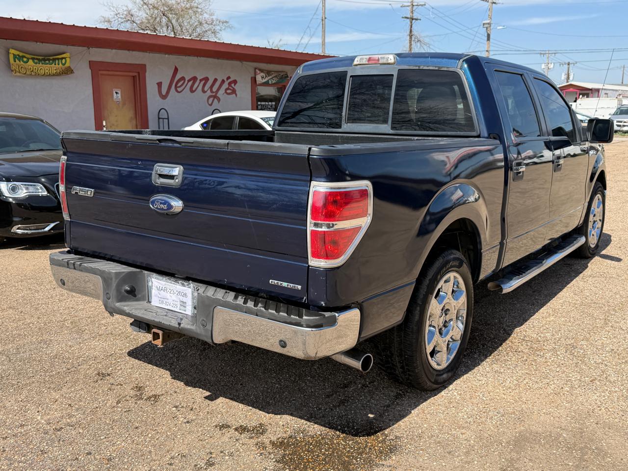 Ford F-150 2WD SuperCrew 145" Platinum 2014