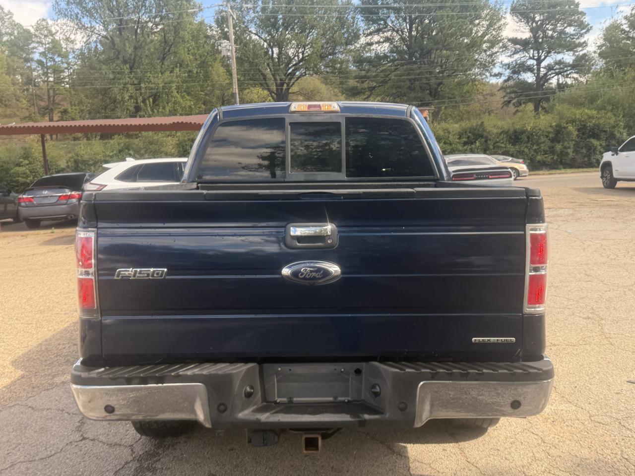Ford F-150 2WD SuperCrew 145" Platinum 2014