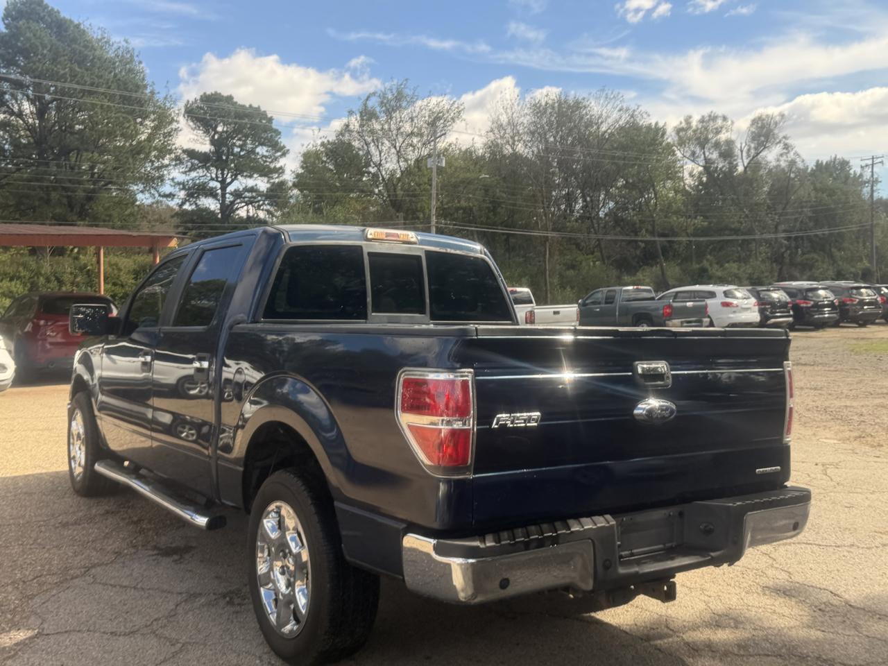 Ford F-150 2WD SuperCrew 145" Platinum 2014