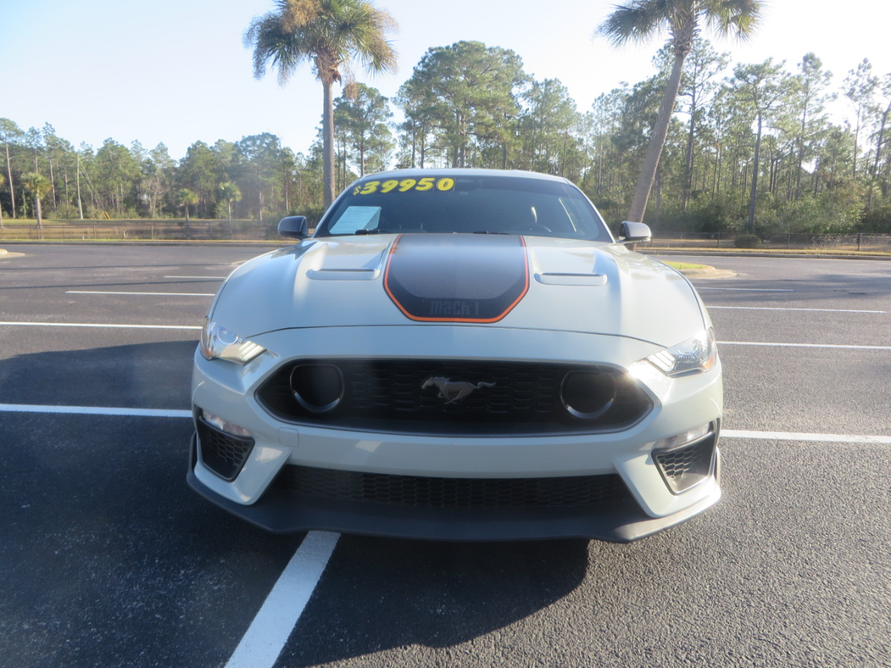 Ford Mustang Mach 1 Fastback 2021